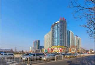 广州钟罩冷冻干燥机