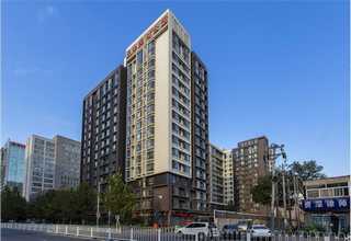 南京杏鲍菇生产厂家